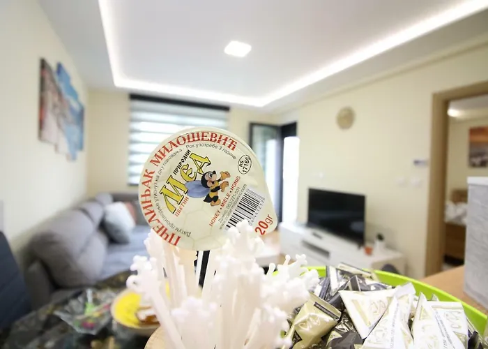 Dnd Sa Garazom Apartamento Zlatibor